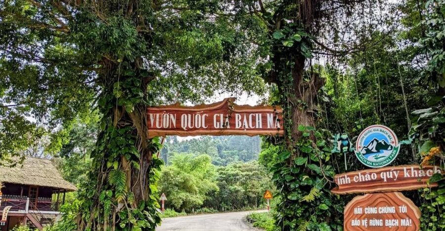 Bach Ma National Park Trekking Tour From Hue/Da Nang/Hoi An - Pickup Times From Hue, Da Nang, and Hoi An (and Why It Matters)