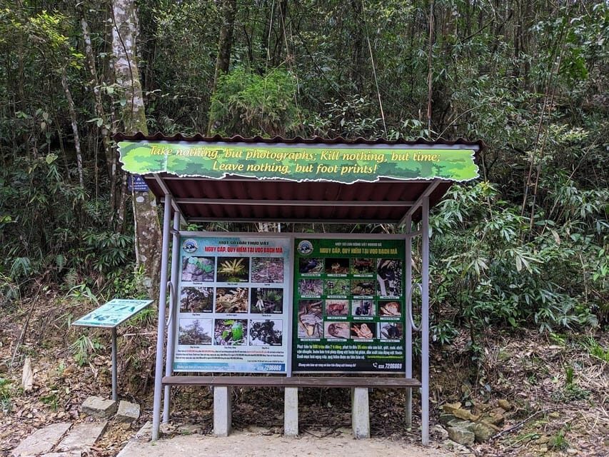 Bach Ma National Park Trekking Tour From Hue/Da Nang/Hoi An - The “Small Group” Myth: Expect a Real Crowd Sometimes