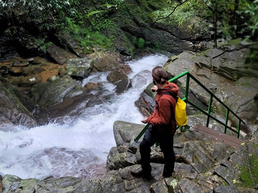 Hue to Da Nang/Hoi An via Bach Ma Trekking - The Small Group Trek Setup (Max 8) and How It Changes Your Day