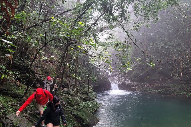 Transfer from Hue to Da Nang or Hoi An via Bach Ma National Park - Price and value: $81 for a full-day detour